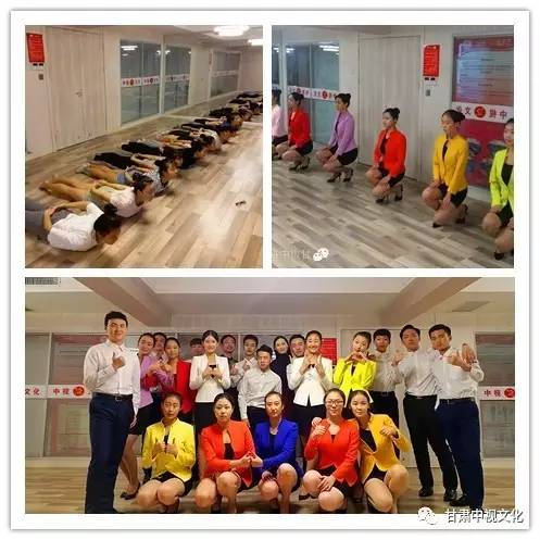 五年双桂冠，深耕教育铸就专业典范