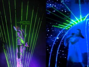 青岛红叶红文化 专业演艺经纪与文化艺术表演策划